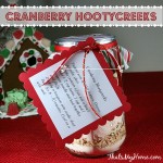 cranberry hootycreeks cookies in a jar recipe from thatsmyhome.com