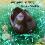 Marshmallow Peeps Dipped in Chocolate from That's My Home